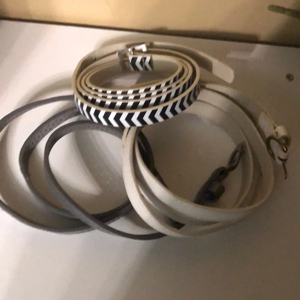 Belts - Picture 1 of 1